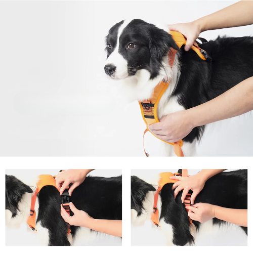 Pawly Pro